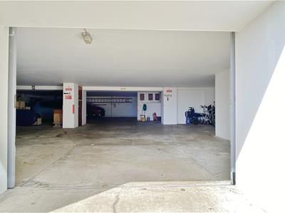 Picture 19